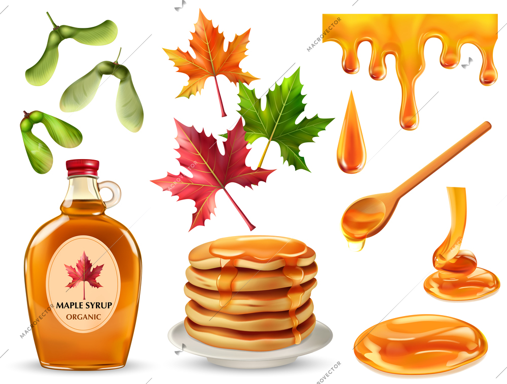 Maple syrup set with isolated realistic pancakes drops spoon colorful leaves seeds branded bottle vector illustration