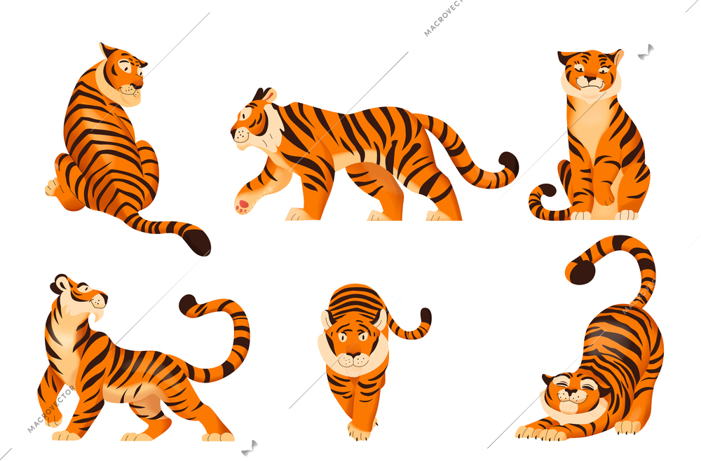 Flat set of cute tigers in various poses isolated on white background vector illustration