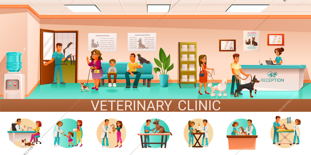 Veterinary clinic cartoon pictorial  infographics with reception desk waiting room pets owners veterinarian checkup surgery vector illustration