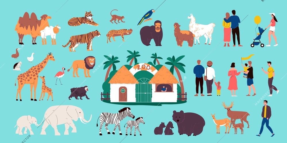 Zoo color set with animals and birds flat isolated vector illustration