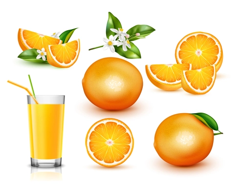 Fresh orange realistic set with isolated whole fruit halves and slices flowers glass of juice with straws vector illustration