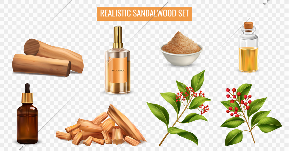 Realistic set with sandalwood essential oil perfume powder sticks plant twigs isolated on transparent background vector illustration