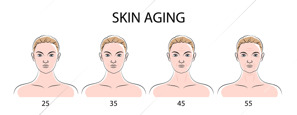 Skin aging poster with human female faces front view from twenty five to fifty five years flat vector illustration