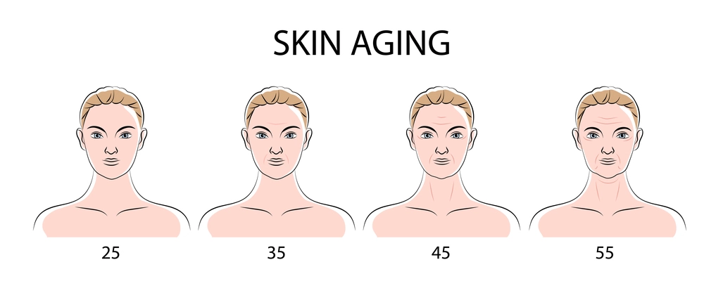 Skin aging poster with human female faces front view from twenty five to fifty five years flat vector illustration