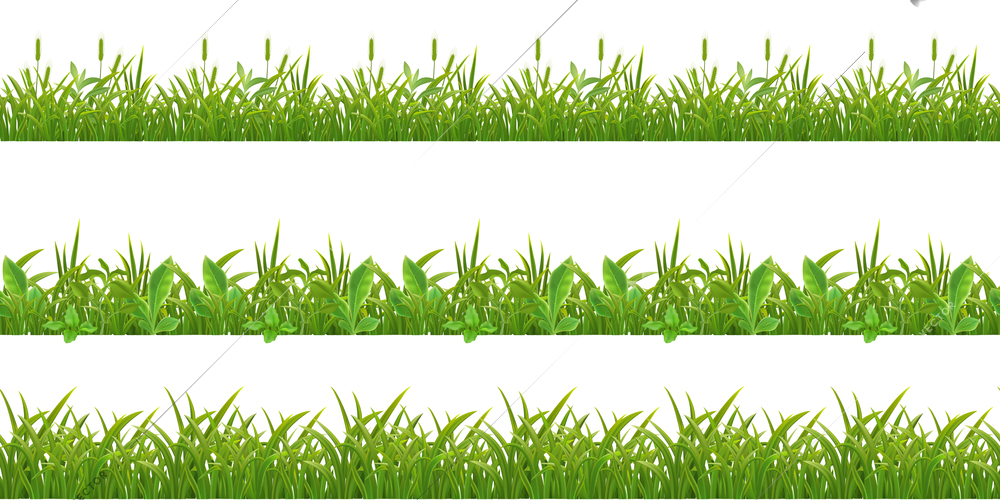 Grass 3 realistic horizontal seamless patterns on white with cereals and young corn plants leaves vector illustration