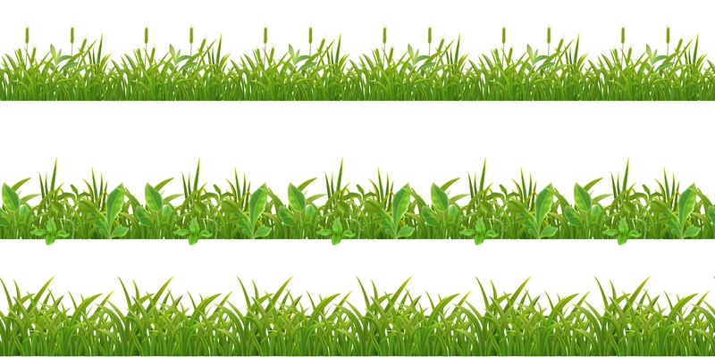 Grass 3 realistic horizontal seamless patterns on white with cereals and young corn plants leaves vector illustration