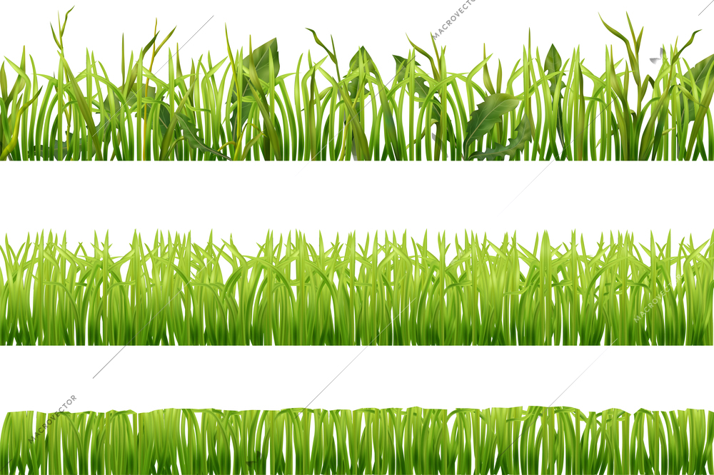 Set of three realistic horizontal seamless borders with green grass isolated vector illustration