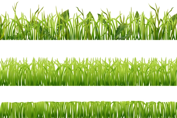Set of three realistic horizontal seamless borders with green grass isolated vector illustration