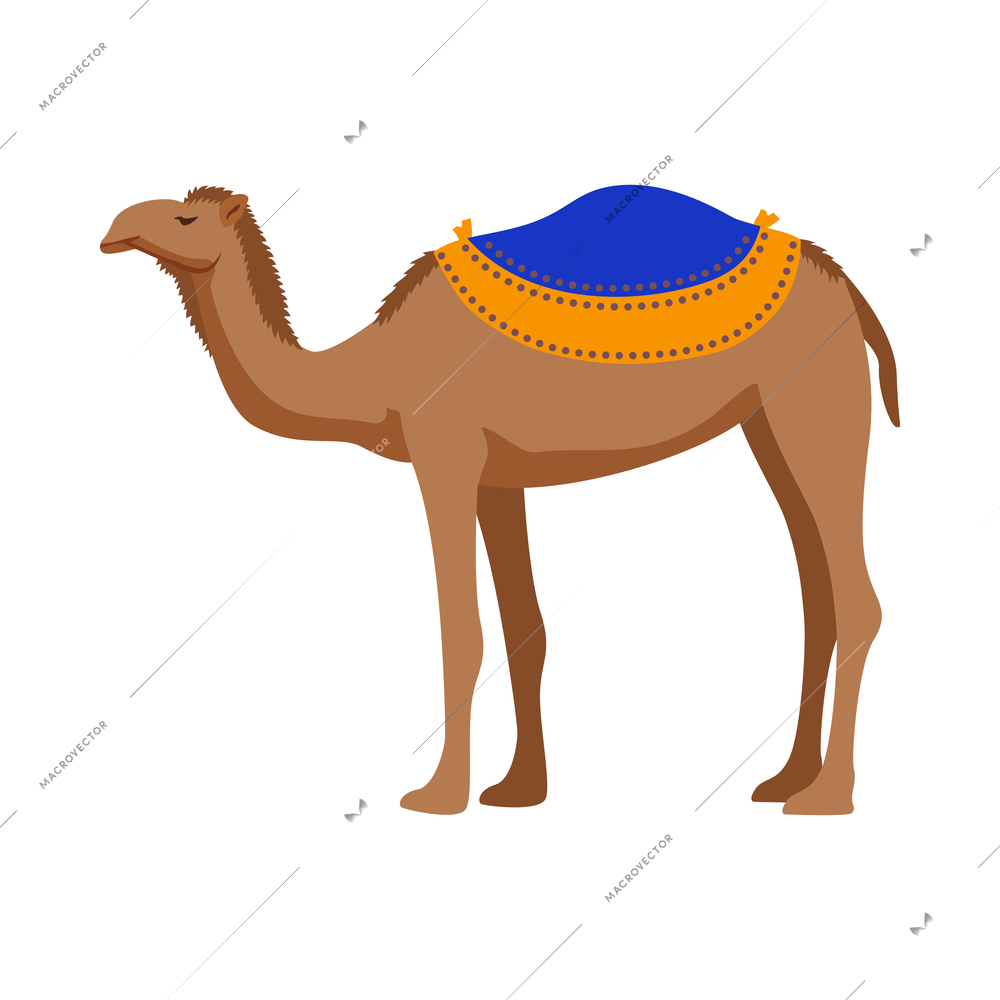 Israel tourism travel composition with isolated traditional culture image on blank background vector illustration