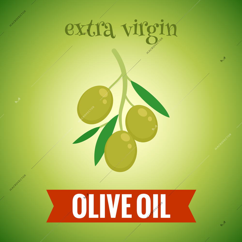 Organic natural food olive extra virgin oil background vector illustration