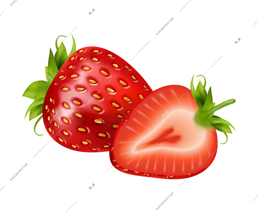 Berry fruit realistic composition with isolated colorful images of berries with ripe leaves vector illustration
