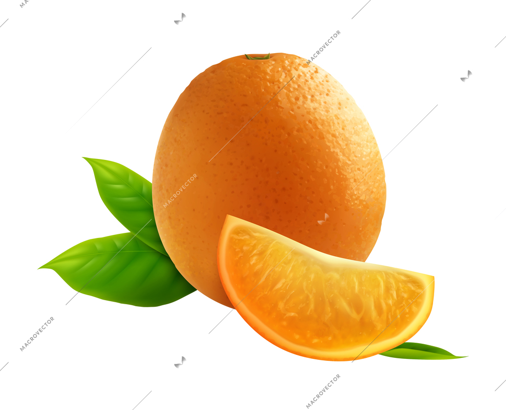 Citrus realistic composition with transparent background and isolated image of whole fruit with slice and leaves vector illustration