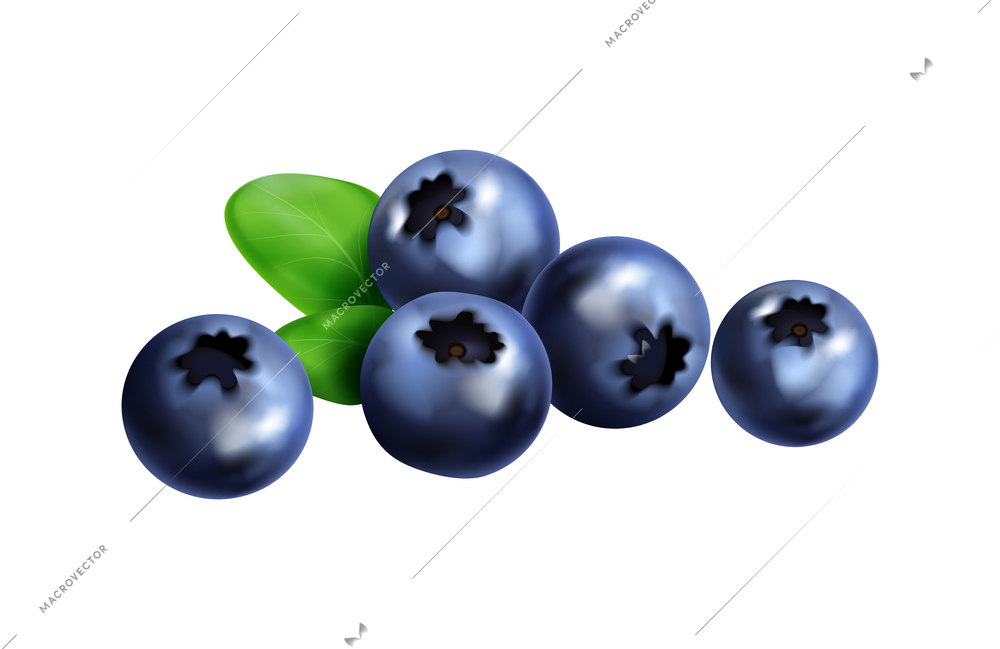 Berry fruit realistic composition with isolated colorful images of berries with ripe leaves vector illustration