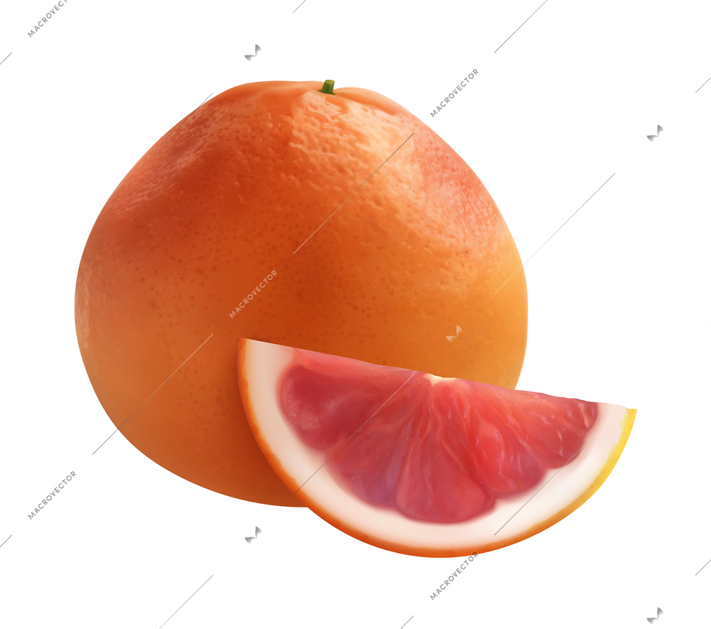 Citrus realistic composition with transparent background and isolated image of whole fruit with slice vector illustration