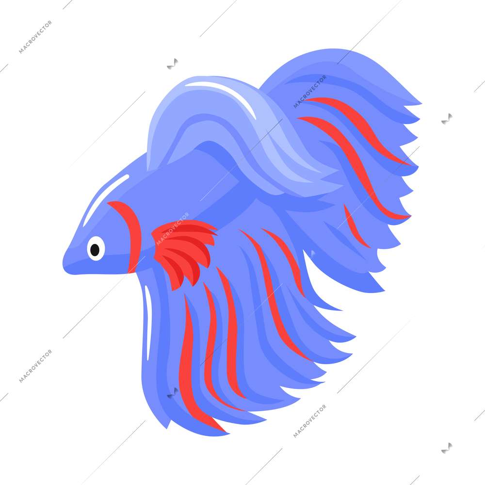 Isometric underwater scuba diver composition with isolated image of exotic fish vector illustration