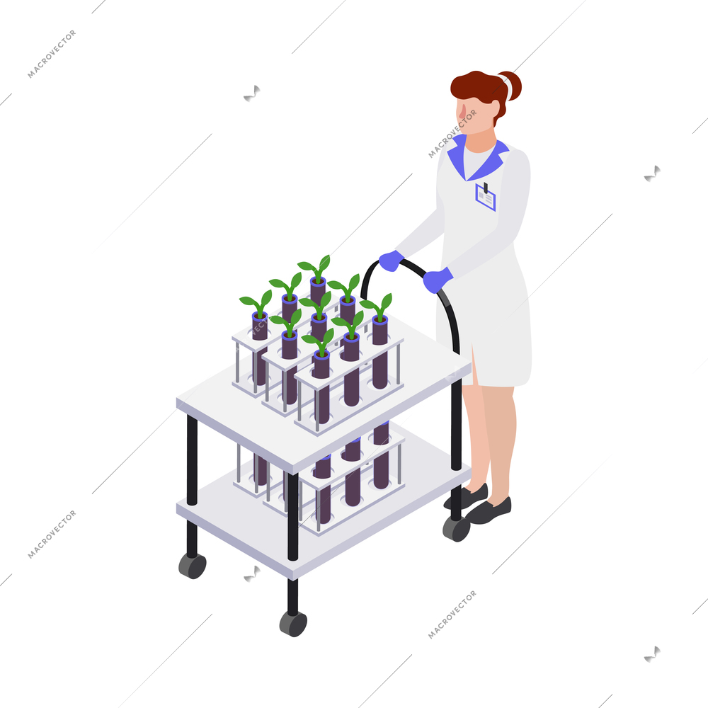 Gmo bio engineering isometric composition with human character of scientist in lab environment vector illustration