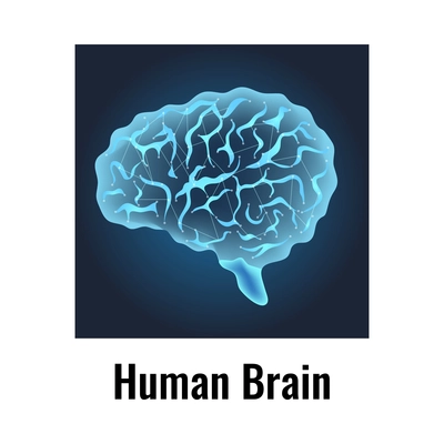 Neurology and human brain anatomy composition with editable text captions flat isolated vector illustration