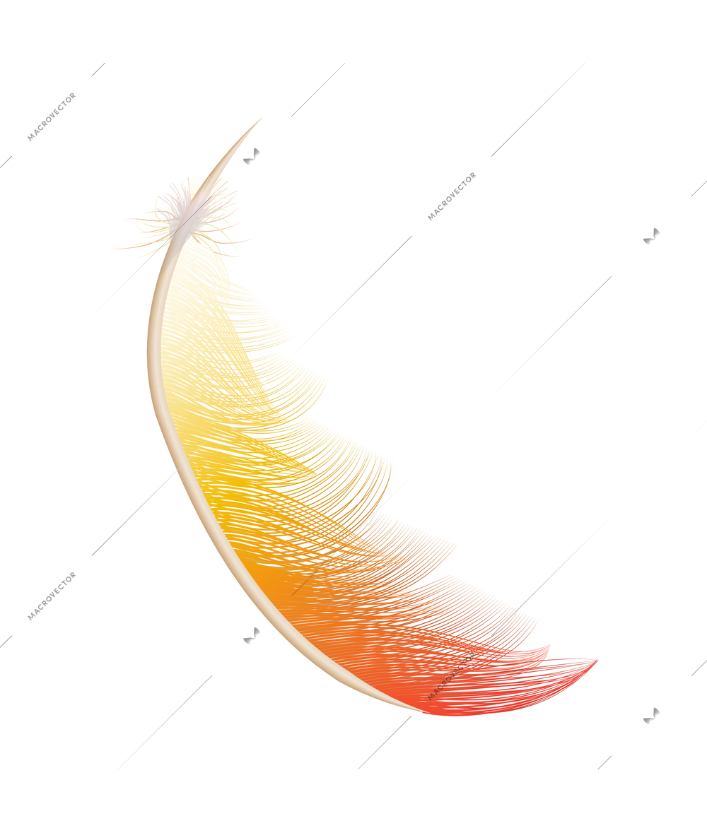 Color feathers realistic composition with isolated image of colored birds feather on blank background vector illustration