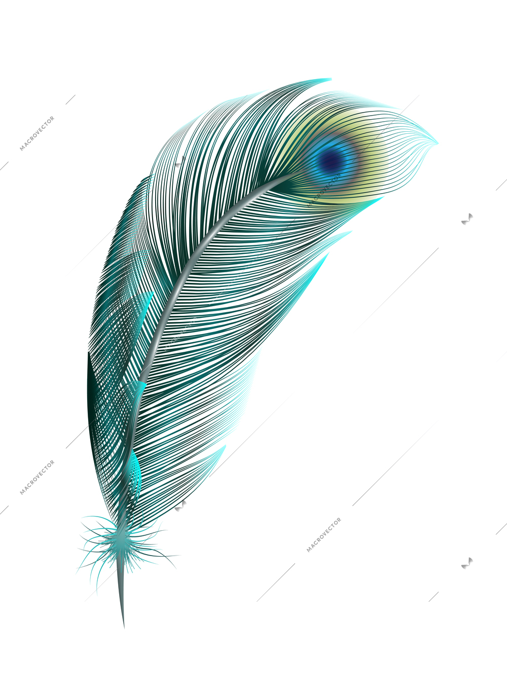 Color feathers realistic composition with isolated image of colored birds feather on blank background vector illustration