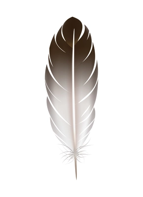 Color feathers realistic composition with isolated image of colored birds feather on blank background vector illustration