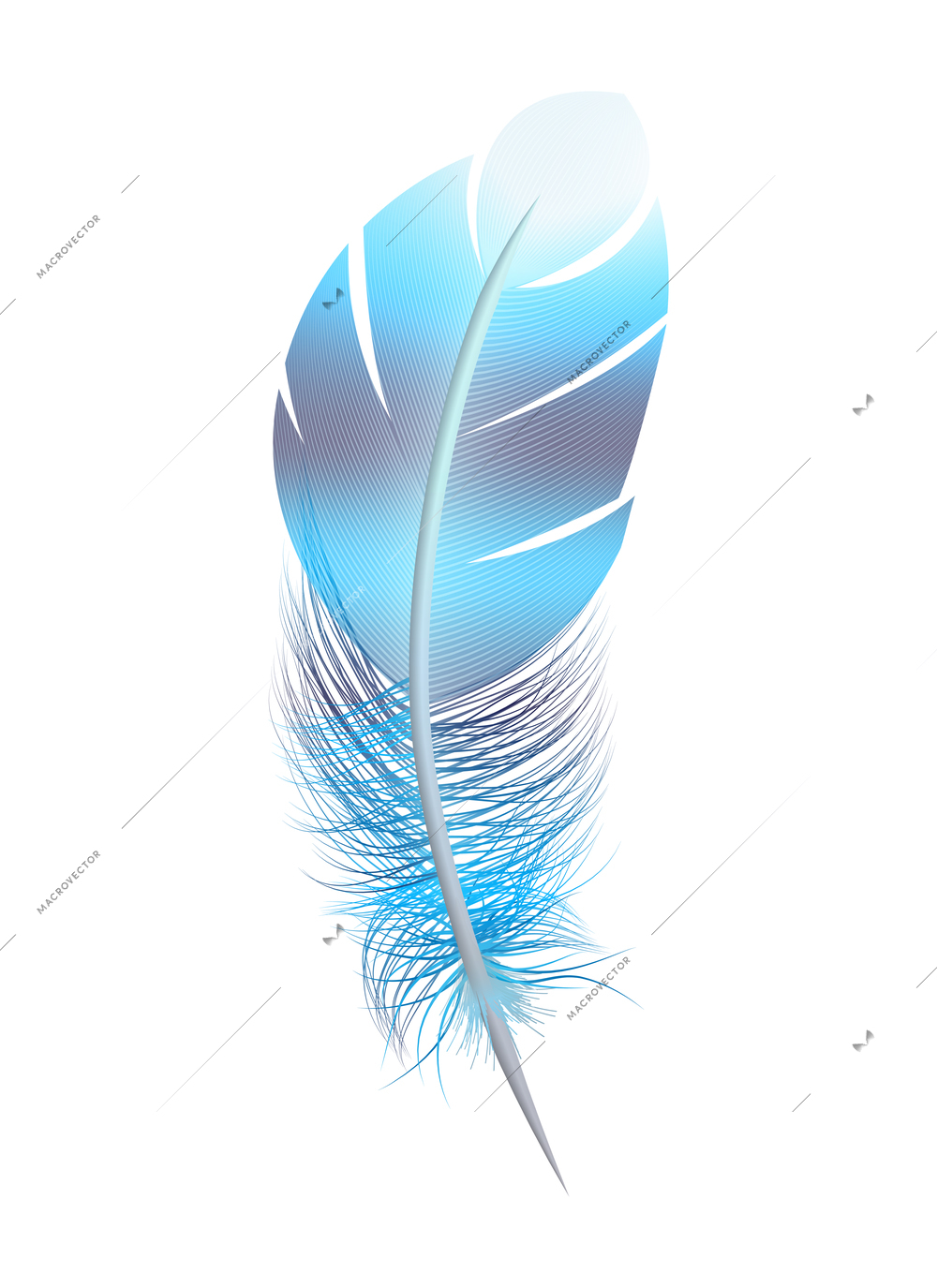 Color feathers realistic composition with isolated image of colored birds feather on blank background vector illustration