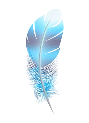 Color feathers realistic composition with isolated image of colored birds feather on blank background vector illustration