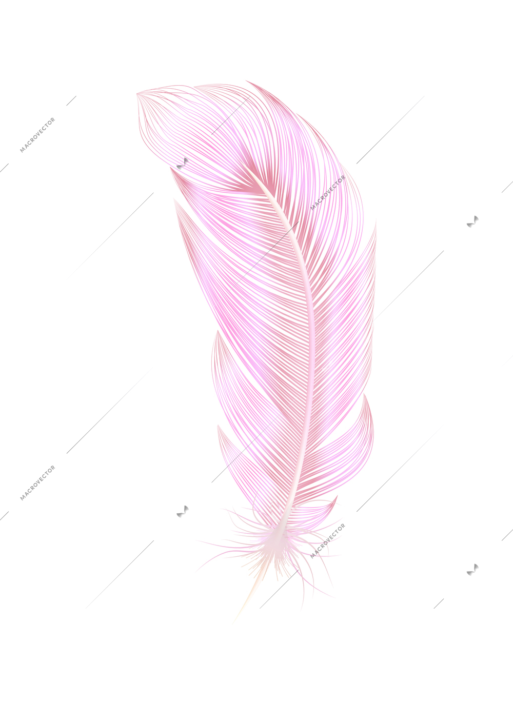 Color feathers realistic composition with isolated image of colored birds feather on blank background vector illustration