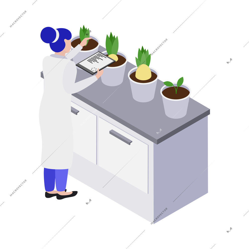 Gmo bio engineering isometric composition with human character of scientist in lab environment vector illustration