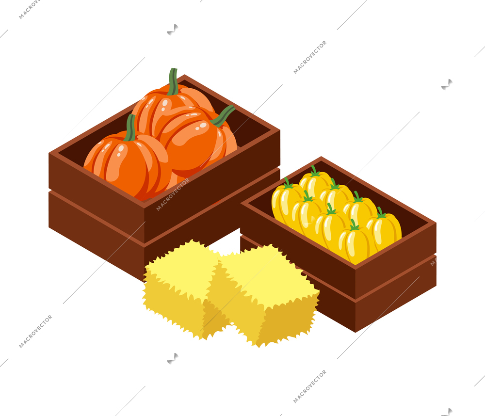 Farm local market isometric composition with isolated view of wooden boxes with vegetables vector illustration