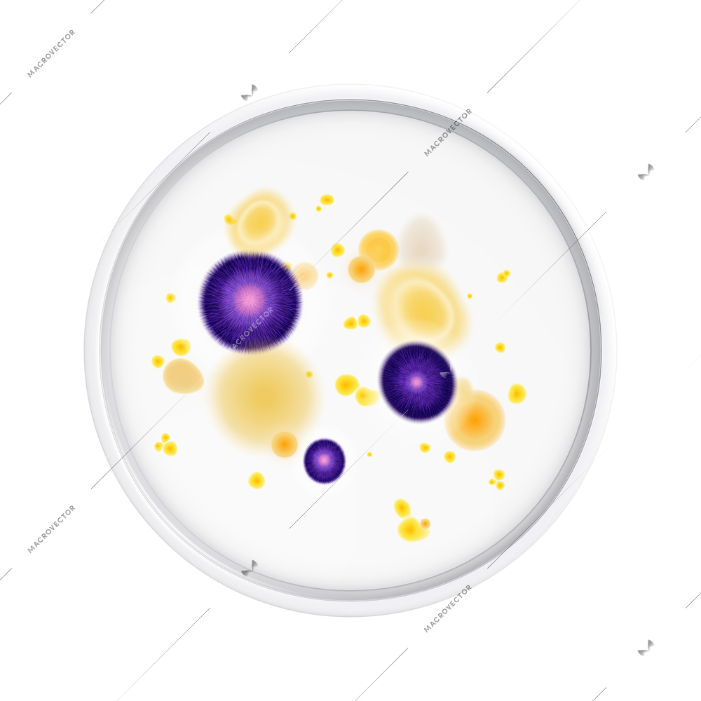 Mold fungus bacteria colony composition with isolated realistic image of laboratory plate with microbes vector illustration