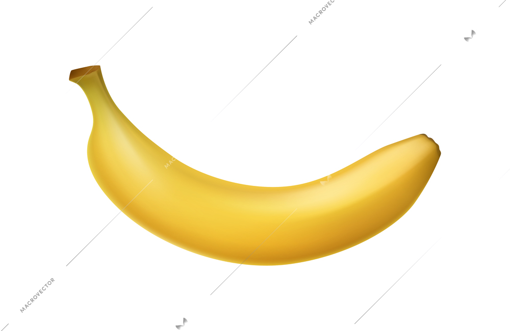 Banana composition with isolated realistic image of tropical fruit on blank background vector illustration