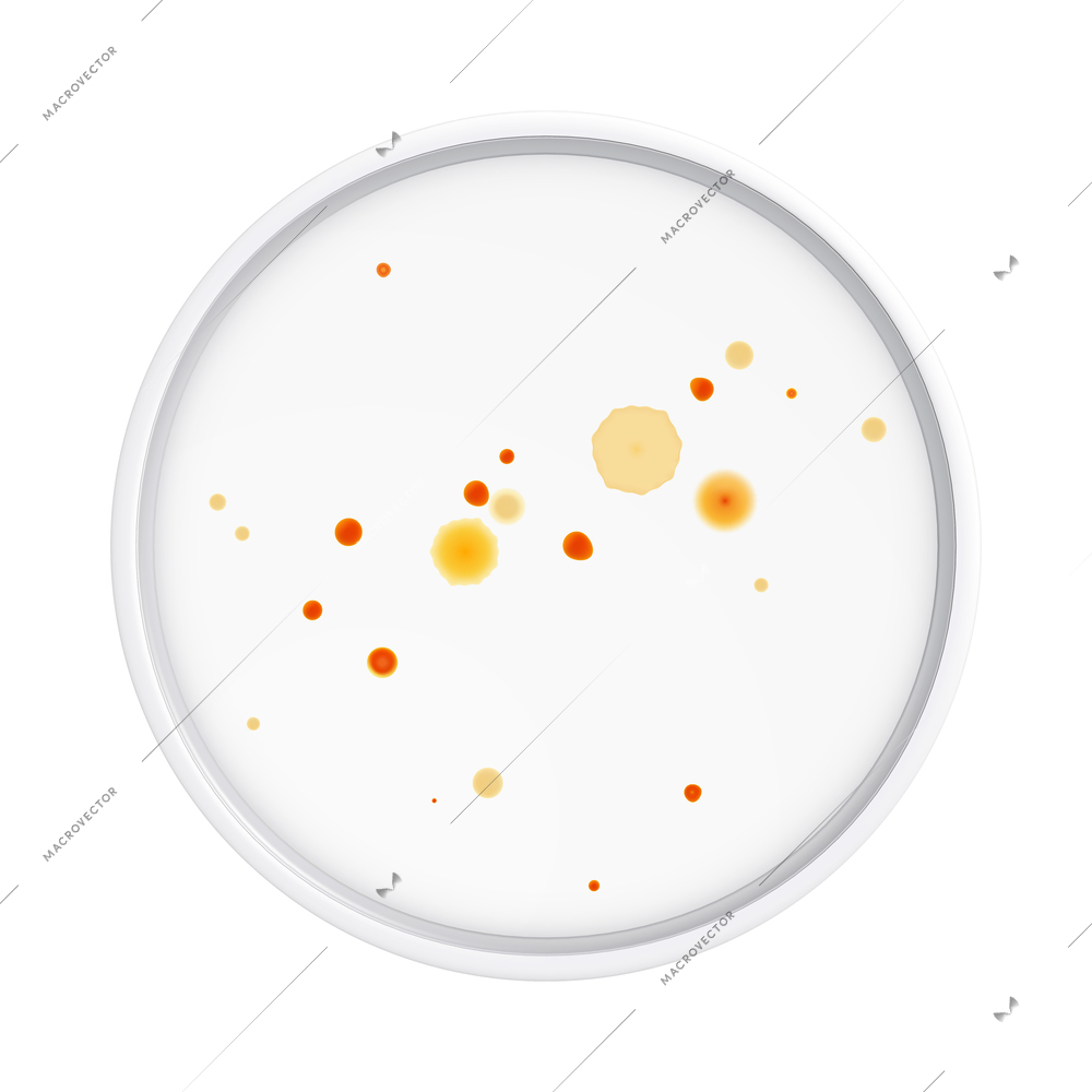 Mold fungus bacteria colony composition with isolated realistic image of laboratory plate with microbes vector illustration