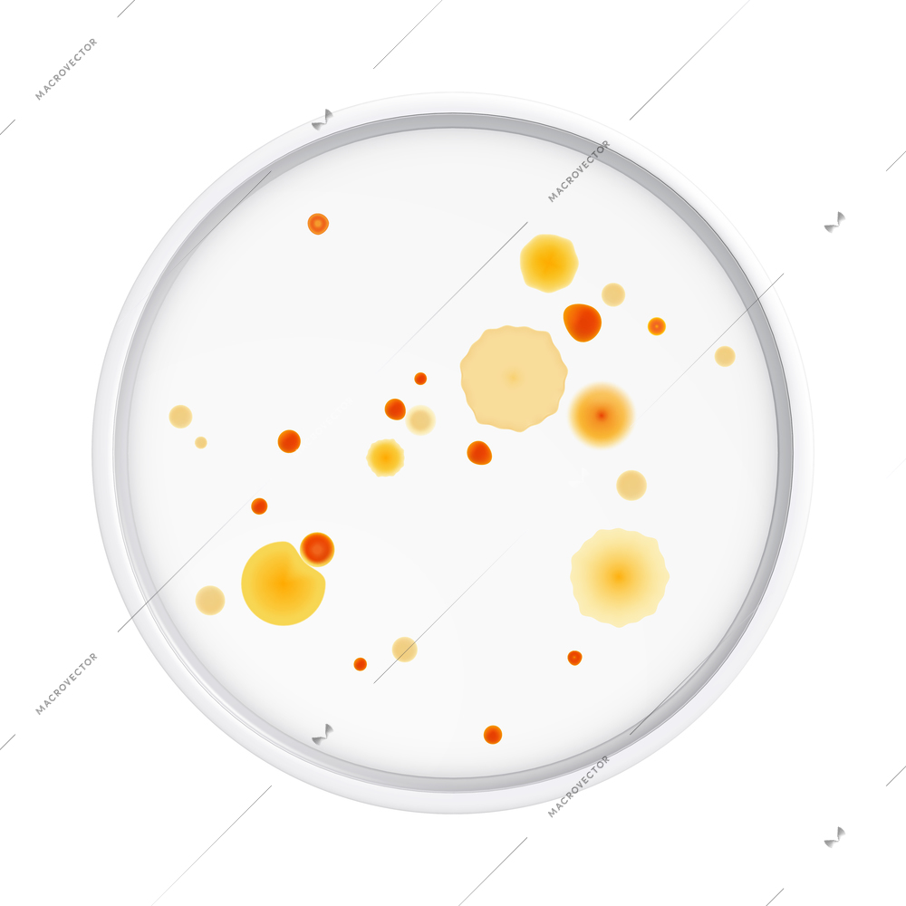 Mold fungus bacteria colony composition with isolated realistic image of laboratory plate with microbes vector illustration