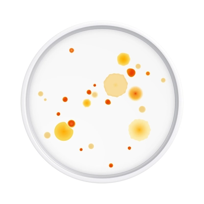 Mold fungus bacteria colony composition with isolated realistic image of laboratory plate with microbes vector illustration