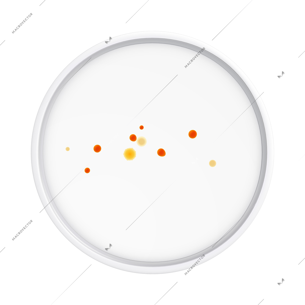 Mold fungus bacteria colony composition with isolated realistic image of laboratory plate with microbes vector illustration