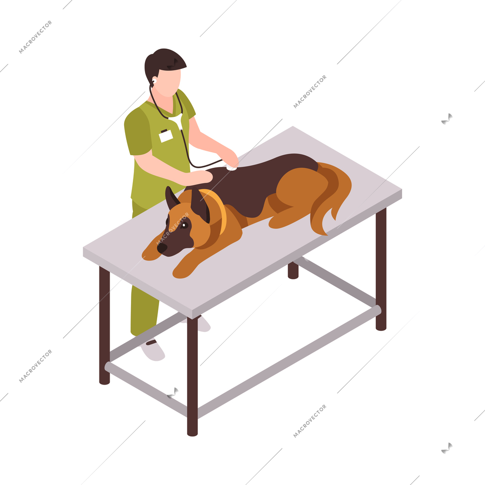 Isometric one day dog man owner composition with isolated image of puppy with human character vector illustration