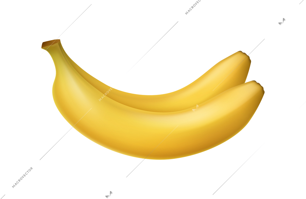 Banana composition with isolated realistic image of tropical fruit on blank background vector illustration