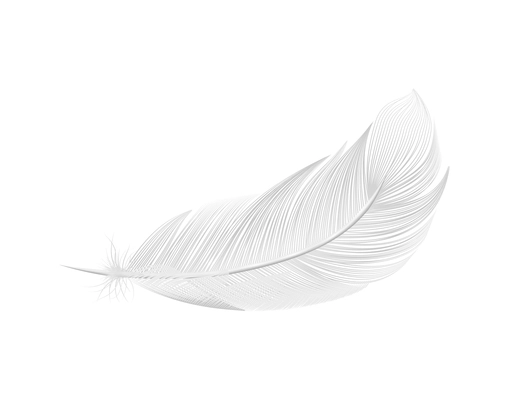 White feathers realistic composition with isolated image of pure feather on blank background vector illustration