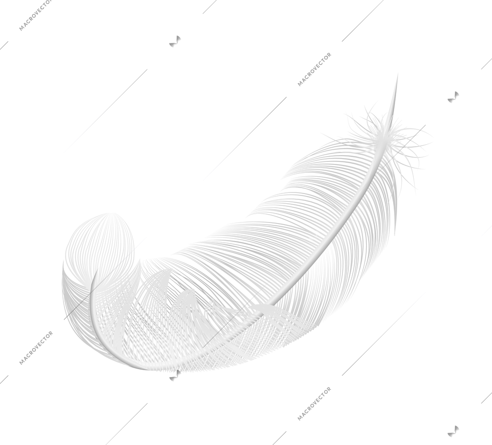 White feathers realistic composition with isolated image of pure feather on blank background vector illustration