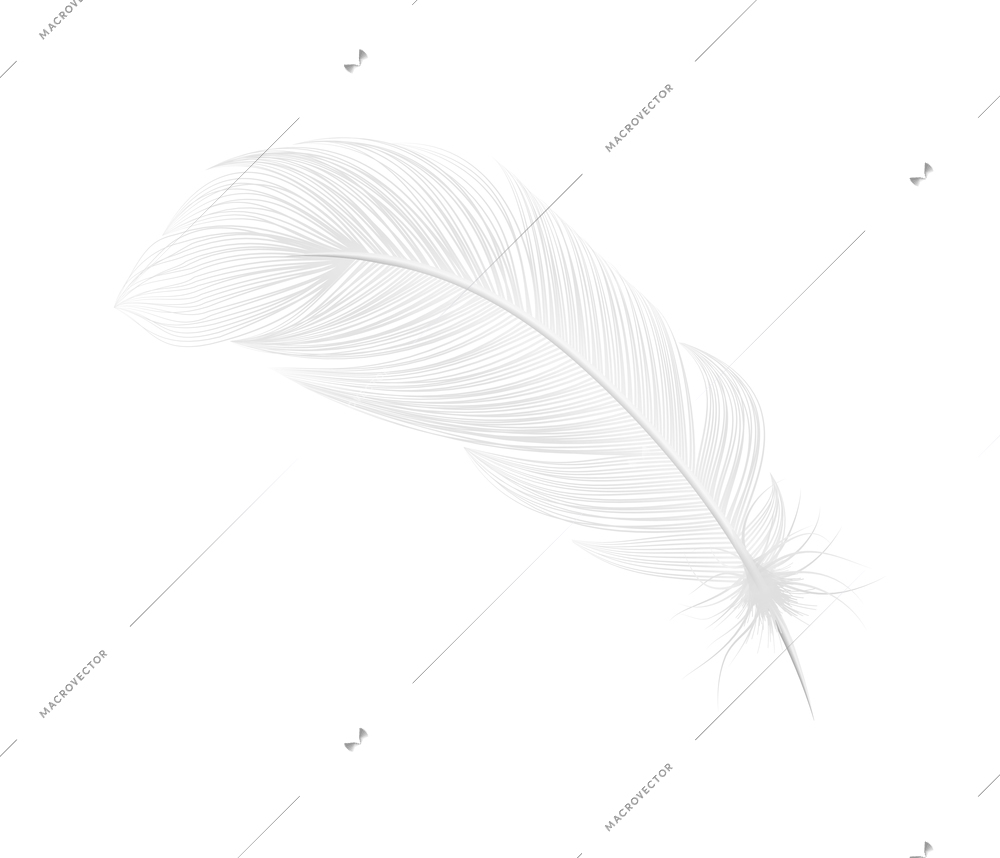 White feathers realistic composition with isolated image of pure feather on blank background vector illustration