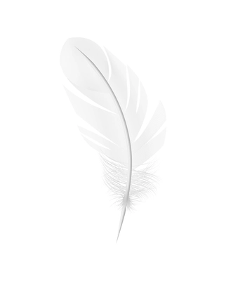 White feathers realistic composition with isolated image of pure feather on blank background vector illustration