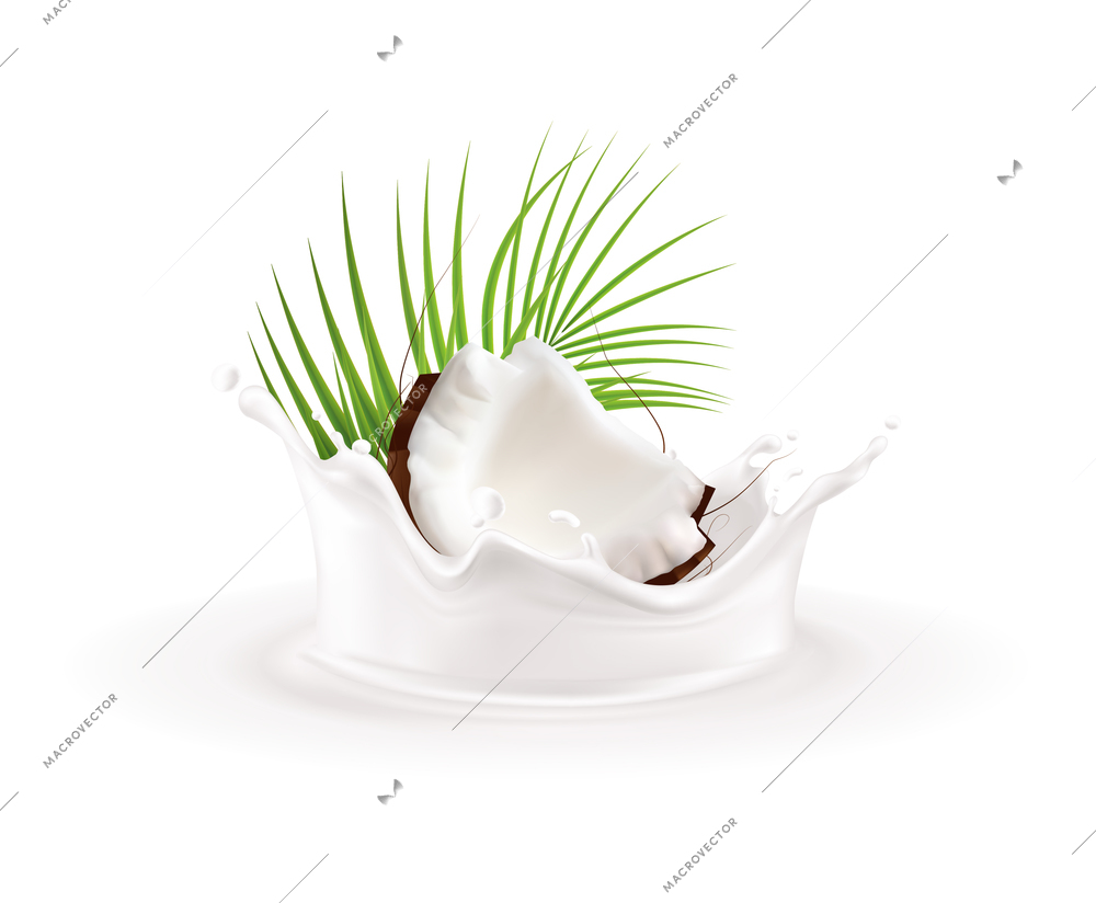 Coconut products realistic composition with isolated product image on blank backround vector illustration