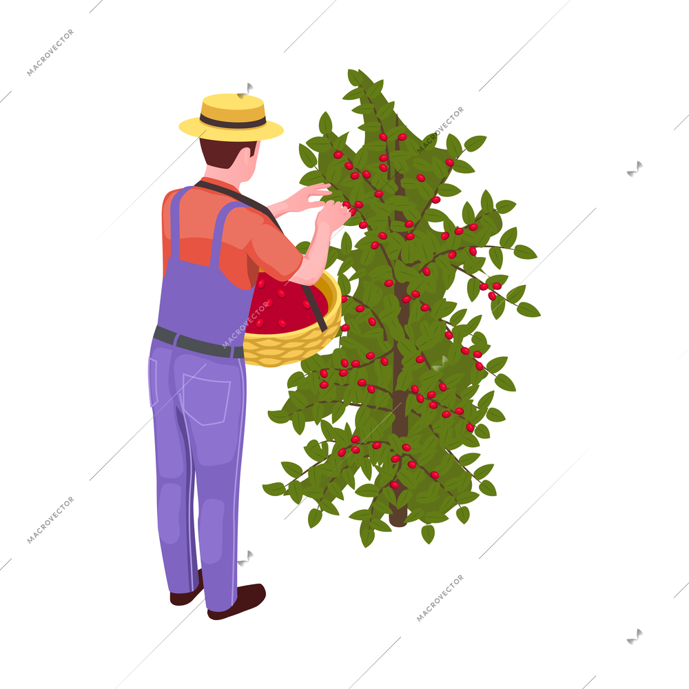 Coffee industry production isometric composition with isolated image on blank background vector illustration