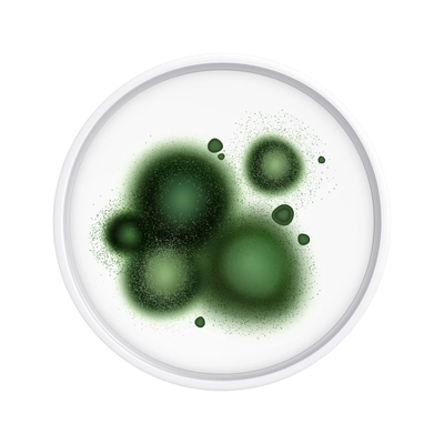 Mold fungus bacteria colony composition with isolated realistic image of laboratory plate with microbes vector illustration