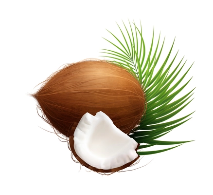 Coconut products realistic composition with isolated product image on blank backround vector illustration