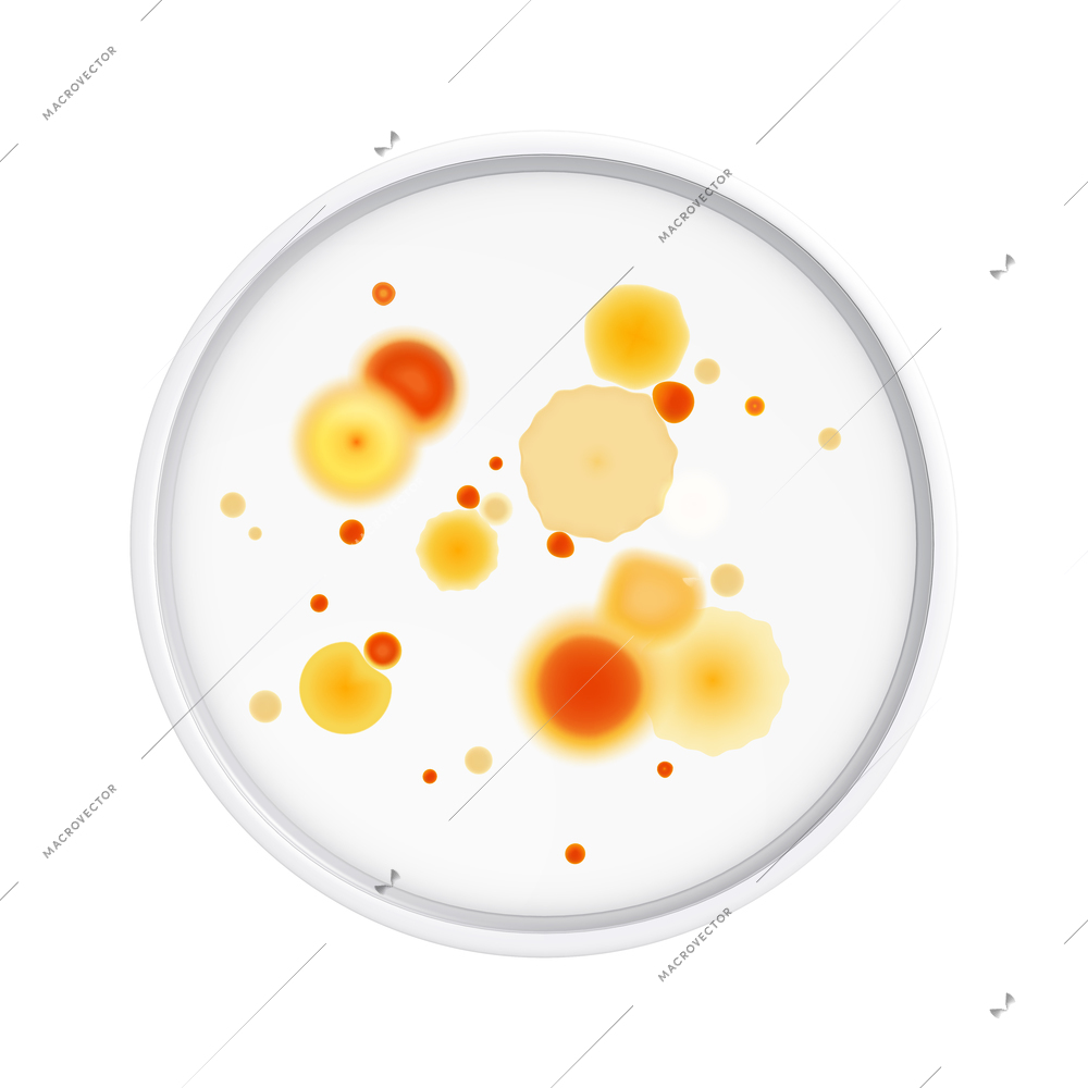Mold fungus bacteria colony composition with isolated realistic image of laboratory plate with microbes vector illustration