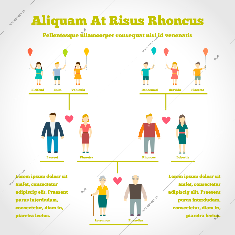 Family tree infographics with people generation relationship vector illustration