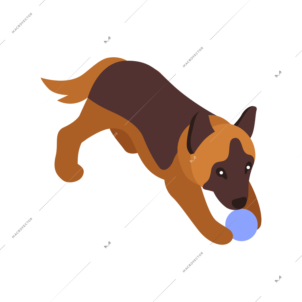 Isometric one day dog man owner composition with isolated image of puppy with ball vector illustration