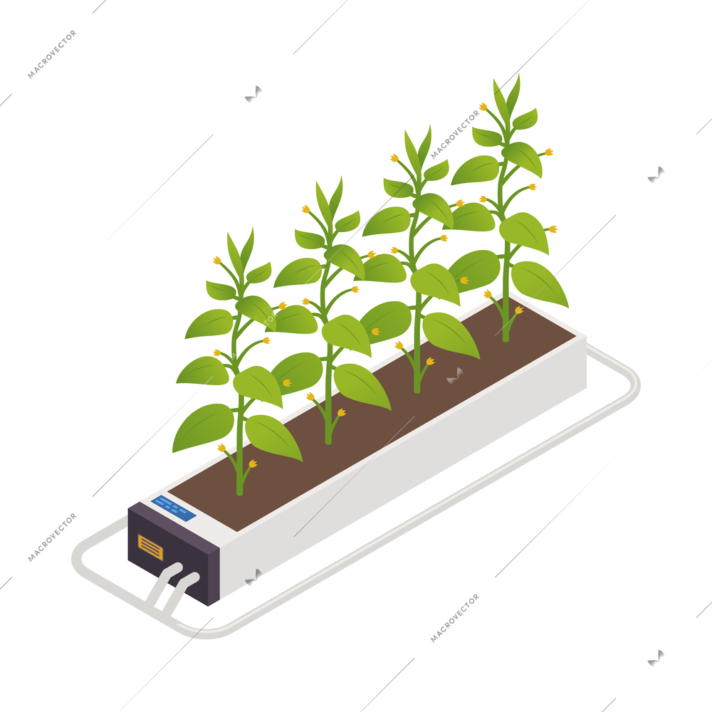 Modern green house isometric composition with isolated image of futuristic gardening appliance smart garden vector illustration