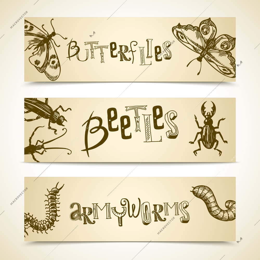 Insects sketch horizontal banner set with butterflies beetles armyworms isolated vector illustration